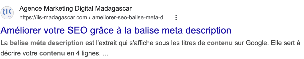 meta description de l'article metadescription